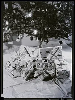 Package Prints: Christmass Tree And Presents Under It
