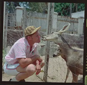 Chuck Connors Playing with Deer