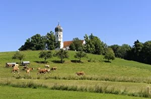 Images Dated 28th June 2011: Church of St. Johann Baptist, Holzhausen, Muensing community on Lake Starnberg, Bavaria, Germany