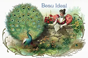 Peacock Prints: Cigar Box Label With Woman And Peacock