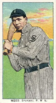 Arc0017019 Prints: Cigarette Card Of Spokane's Weed