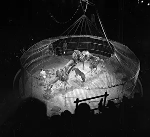 Circus Prints: Circus Show