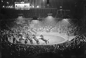 Form Prints: Circus Animals