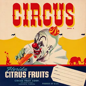 Florida Prints: Circus Brand Florida Citrus