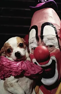 Clown Prints: Circus Clown Lou Jacobs and Knucklehead the Chihuahua