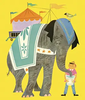 Circus Elephant