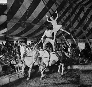 Circus Queen