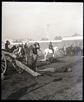 The Boer Wars Prints: Circus Re-Enactment Of Boer War Battle
