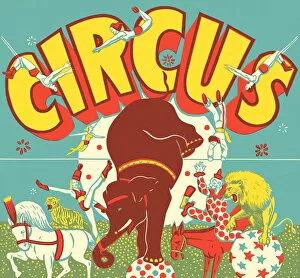 Four Animals Collection: Circus Scene