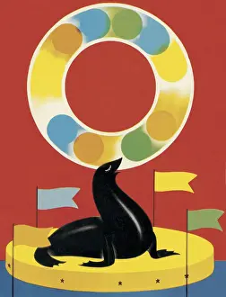 Circus Seal