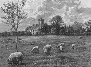 Prst Prints: Cirencester