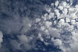 Images Dated 22nd August 2014: Cirrocumulus cloud