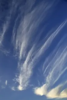 Meteorology Prints: Cirrus clouds