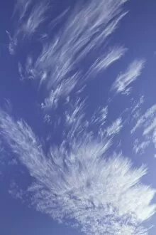 Cirrus clouds, Utah