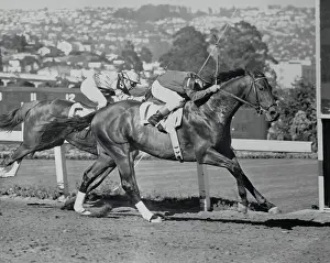 Citation Pulling Ahead of Bolero
