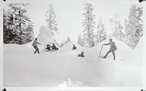 Citizens Enjoying Themselves in Woodlands
