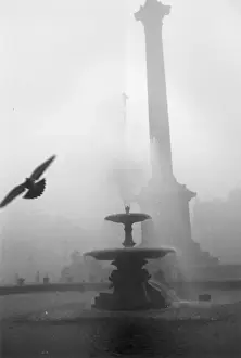 Pigeon Prints: City Fog