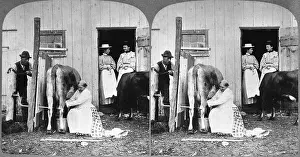 Stereoscopic Prints: City Visitors Wait for Farm Fresh Milk