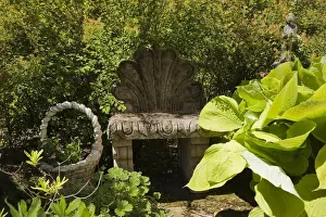 Garden Plant Prints: Clamshell back garden bench and hosta plant leaves in a landscaped residential backyard garden