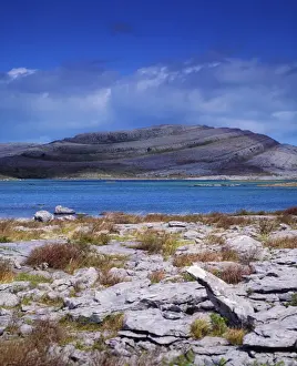 Co Clare, The Burren, Mullaghmore Mountain, (Turlogh in foreground), Ireland