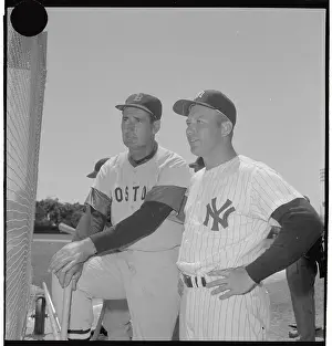 Classy Portrait of Mickey Mantle and Ted Williams in Uniform