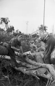 Industrious Prints: Clearance Work