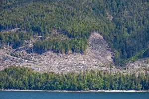 Images Dated 18th June 2017: Clearcut logging on Inside Passage to Alaska, Ketchikan, Alaska, USA