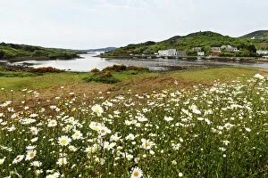 Landscapes Collection: Clifden Bay, Clifden, Connemara, County Galway, Republic of Ireland, Europe