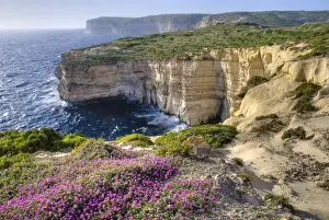 Wildflowers Prints: Cliffs with wildflowers