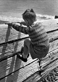 M Juv Recr Seaside Beaches Bri Prints: Climbing The Fence