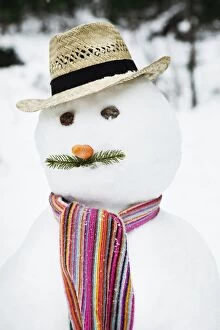 Images Dated 18th February 2012: Close up of snowman with mustache