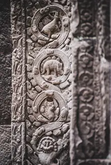 Khmer Prints: The close up of stone carving of Stegosaurus dinosaur inside Prasat Ta Prohm, Cambodia