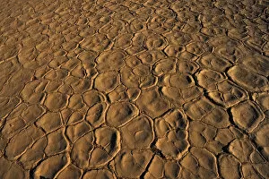 Images Dated 20th December 2009: Close up Texture of the Cracked Clay Surface of Deadvlei at Sunset