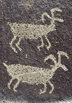Close-up of Indian Petroglyphs, Ginko Petrified Forest State Park, Vantage, Washington State, USA