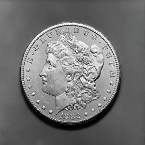 Auction Prints: Close-Up View of 1882 Silver Dollar