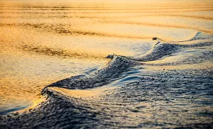 Flowing Water Gallery: A closeup of a wave and wake in the refelcted suns