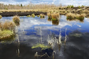 Cloud reflections at a blackwater peat bog in a flooded peat cutting area, Stammbeckenmoor near Raubling
