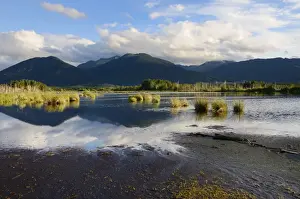 Cloud reflections in a bog, glacial Stammbecken Moor in the alpine uplands, former Nicklheim peat works, Rosenheim, Bavaria, Germany, Europe