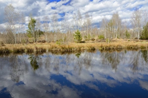 Images Dated 12th April 2012: Cloud reflections in a flooded peat cutting area, Stammbeckenmoor near Raubling, Alpine Uplands