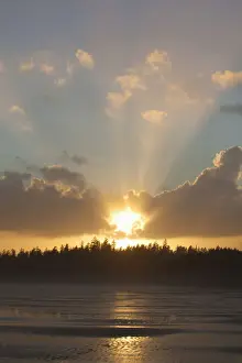 Sun Glare Prints: Clouds Are Backlit By The Sun At Sunset At Incinerator Rock Area Of Long Beach In Pacific Rim National Park Near Tofino