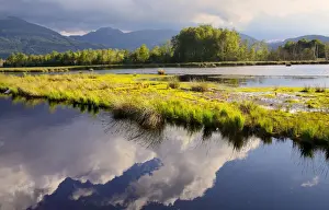 Alps Prints: Clouds being reflected in a bog pond