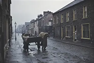 Coal Delivery In Belfast
