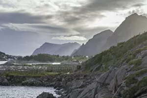Images Dated 7th September 2012: Coast with drying racks, Moskenes, Lofoten, Nordland, Norway