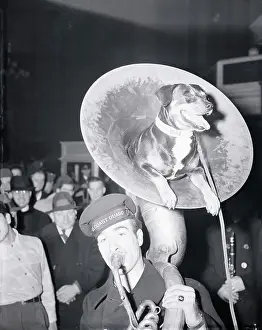 Mascot Prints: Coast Guard Mascot Dog Riding in Tuba