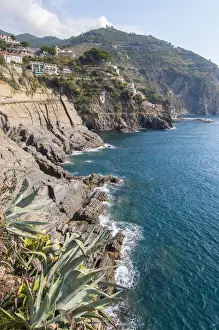 The coast near Corniglia