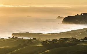 Mist Collection: Coast at Otago, South Island, New Zealand, Oceania