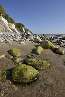 Chalk Rock Prints: Coastal cliffs, shingle beach and chalk cliffs