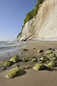 Chalk Rock Prints: Coastal cliffs, shingle beach and chalk cliffs