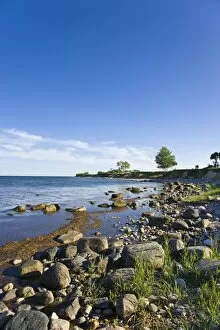 Images Dated 1st June 2011: On the coastal cliffs of Staberhuk, Fehmarn Island, Baltic Sea, Schleswig-Holstein, Germany, Europe