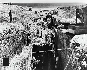 Trench Prints: Coastal Diamond Mine